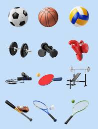B-sports 新宾哪里可以打乒乓球台